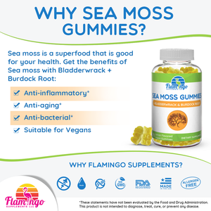 Why Sea Moss Gummies